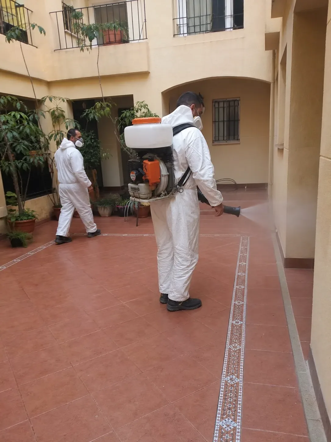 Técnicos de BagesPlagas aplicando un tratamiento de fumigación