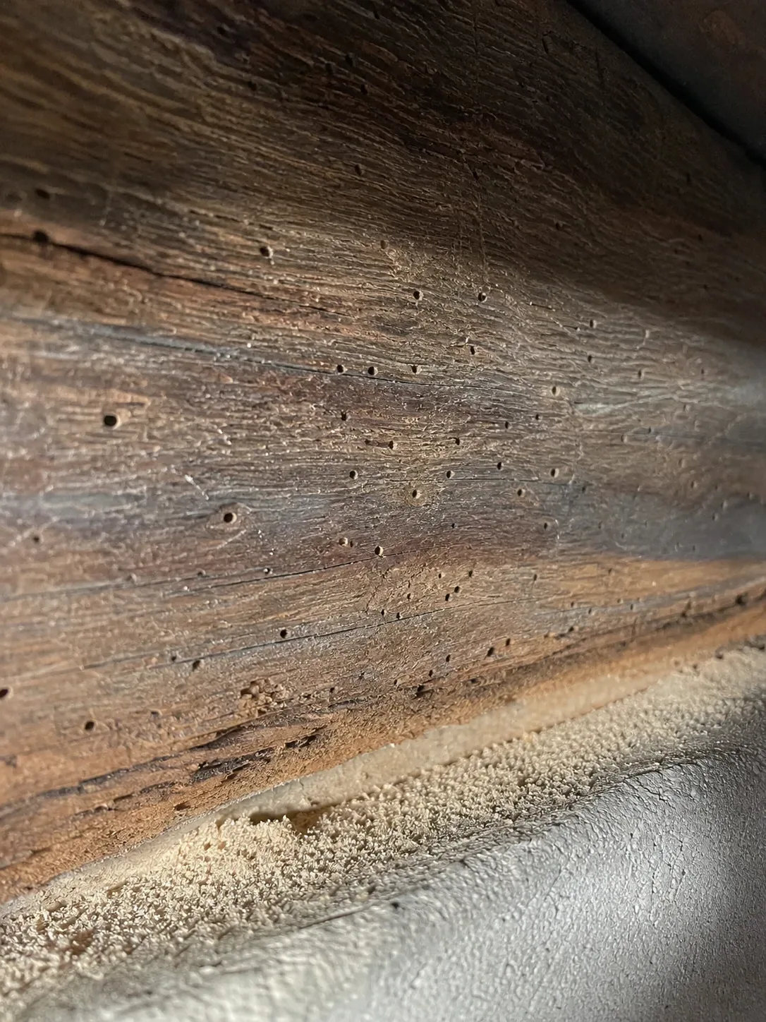 Orificios de carcoma en una viga de madera
